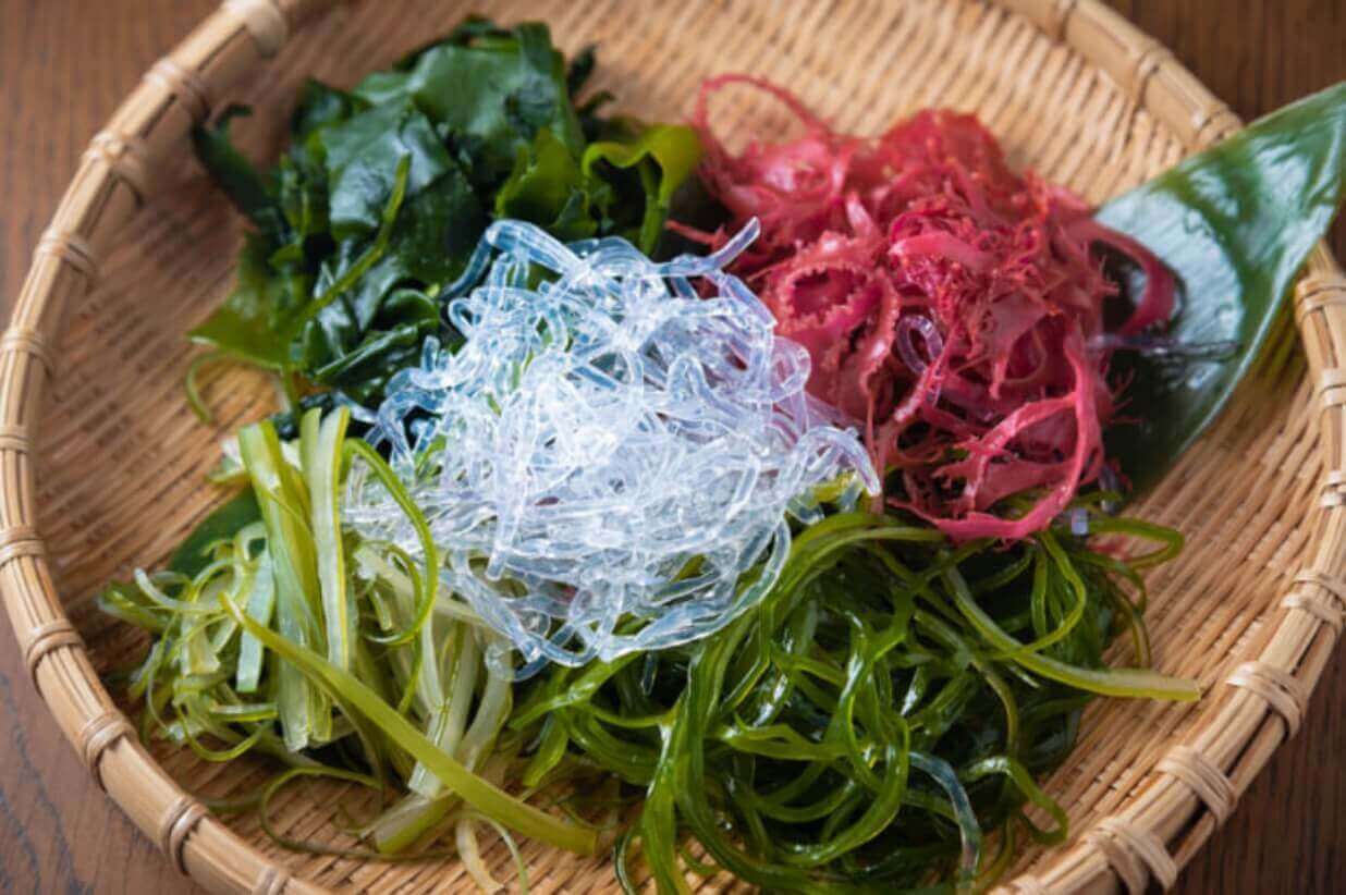 【ミネラル】野菜・海藻・乳製品